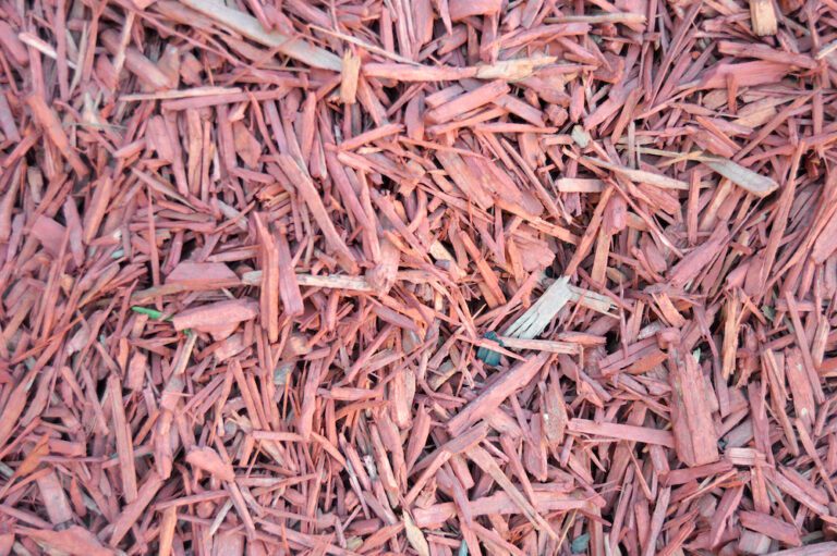 Sunset Red Chips