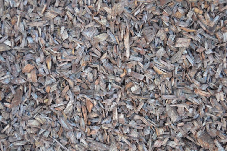 Chocolate Chips