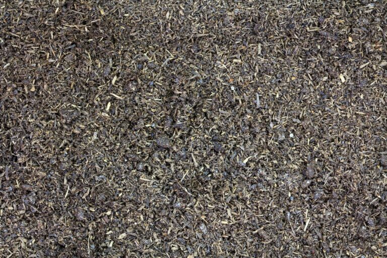 Worm Castings Compost